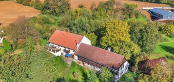 Rodinný dům, 600 m² + 2304 m² pozemek, Doubravice, Katusice