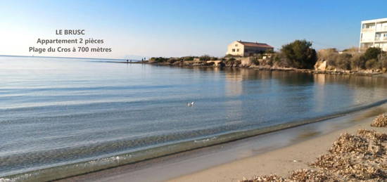 Appartement 2 pièces - Plage du Cros à 700 mètres