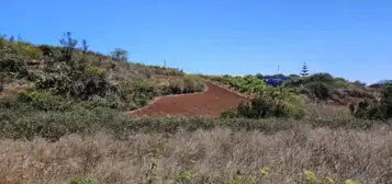 Finca r&#xFA;stica en Camino de la Ladera la Pintora, 1