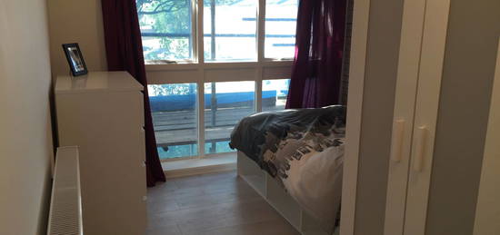 Studio to rent in Hamilton Close, London N17