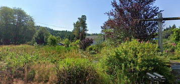 316 W  Deep River Rd, Naselle, WA 98638