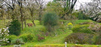 Habsheim colline