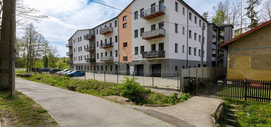 Prodej bytu 3+kk, 90 m2, Cheb, ul. Břehnická