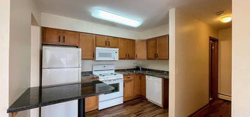 525 University Ave SE APT 12, Minneapolis, MN 55414