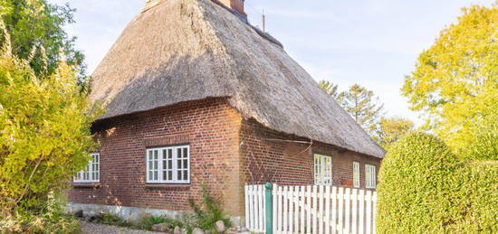 Reetdachidylle zwischen Schlei und Ostsee