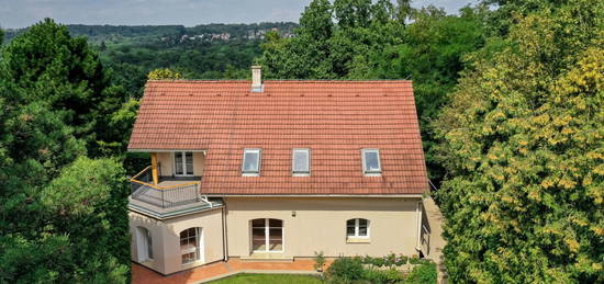 Prodej domu 246 m², Zdiby