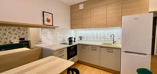 Pronájem bytu 1+kk 40 m², U Pergamenky, Praha