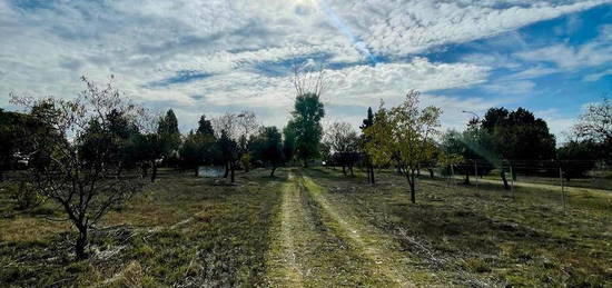 Finca rústica en venta en Maqueda