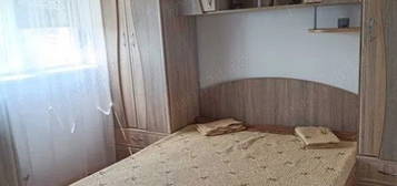 Apartament cu 2 camere in Alexandru cel Bun-Lic.Miron Costin