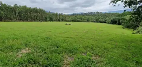 Finca r&#xFA;stica en Mungia