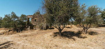 Quinta / Fundão, Póvoa da Atalaia