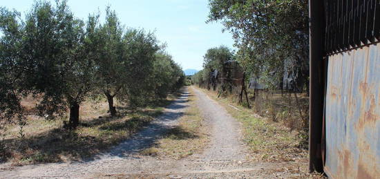 Casa Indipendente con Terreno in Loc. S'Arriali