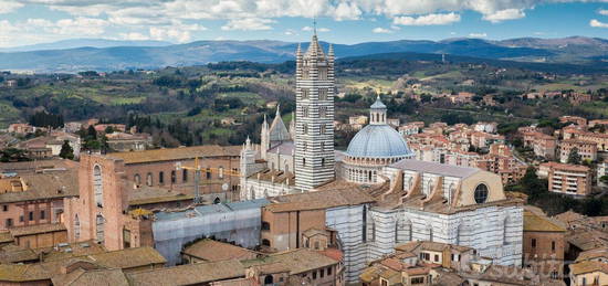 Zona Porta Pispini camere singole