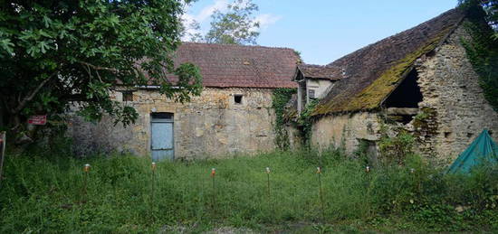 Maison Tourtoirac 2 pièces avec grand terrain et puit