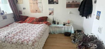 Spacious room in Amstelveen