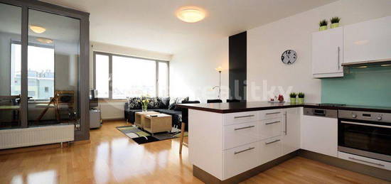 Pronájem bytu 1+kk 48 m², Litoměřická, Hlavní město Praha