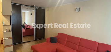 APARTAMENT SPATIOS 2 CAMERE-SALA PALATULUI-PET FRIENDLY