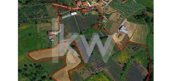 Quinta com Terreno de 39.243 m2, Moradia T3 com 2 Lojas/Arrecadações,