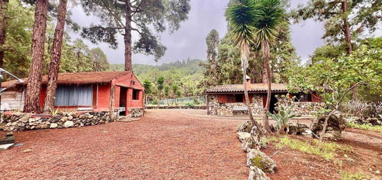 Finca rústica en venta en Santa Bárbara - La Florida