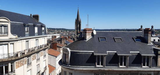 Bel Appartement Limoges Centre