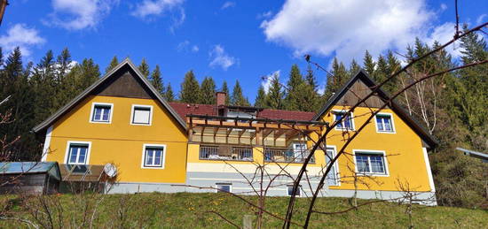 Doppeltes Glück im DREILÄNDERECK Steiermark-Kärnten-Slowenien auf 11.321 m² Grund in Seenähe