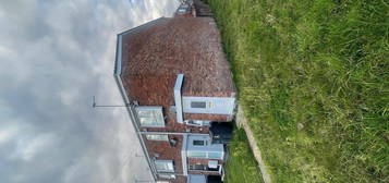 1 bed flat to rent