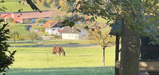 ~~ BÖLLSTEIN ~~ Idyllisch gelegene 2-Zimmer Wohnung mit Balkon und Gartennutzung