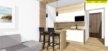 Pronájem bytu 1+kk, 41 m2 - Opava