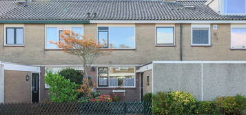 Jolstraat 162