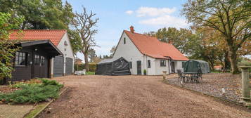 Detached bungalow for sale in Woodcock Road, Wretham, Thetford, Norfolk IP24