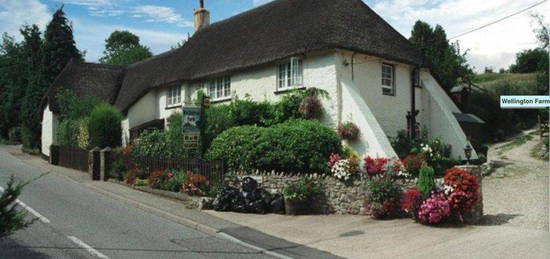 Bungalow to rent in Wellington Farm, Honiton Devon EX14