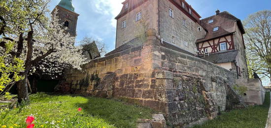 Exklusive Wohnung mit Büronutzung in renoviertem Hallerschloss