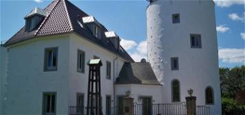 Köln-Bonn:Faszinierender Rheinblick aus der Burg Lülsdorf