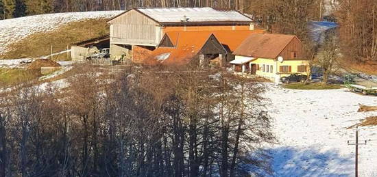 25 km Südost von Graz ab 8ha bis zu 20ha, Teiche, Ställe, Wirtschaftsgebäude, Wohnhaus, Gasträume für Gasthaus, Buschenschank, Ruhe, Panoramablick, Ganztagssonne, SSW-Lage