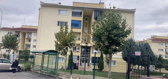 SAKARYA KORUCUK (ARI STES) KRALIK ASANSRL N3+1 DARE