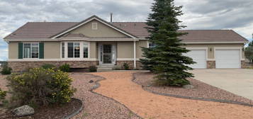 1380 Bowstring Rd, Monument, CO 80132