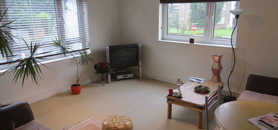 1 bed flat to rent