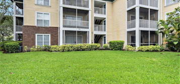 4115 Chatham Oak Ct #206, Tampa, FL 33624