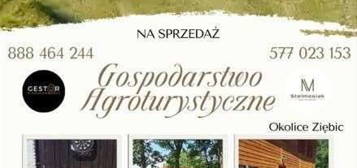 Gospodarstwo agroturystyczne 2,3h