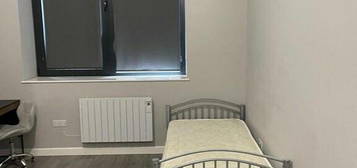 1 bedroom flat share