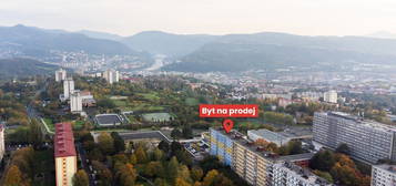 Byt 1+kk, 21 m², Pod Parkem, Ústí nad Labem