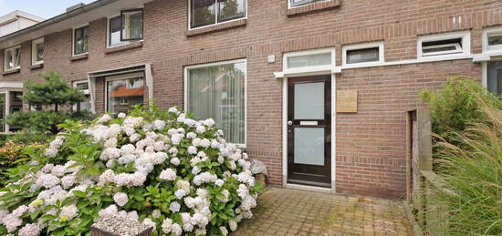 Nassaustraat 53