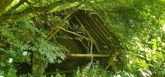 Grange forêt et source