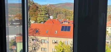 2 Zimmerwohnung im Villenviertel von Bad Blankenburg