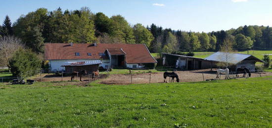 Pferdehof Teilvermietung mit Stall und Weiden direkt am Haus