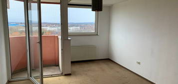 1 Zimmerappartement in Homburg am Steinhübel