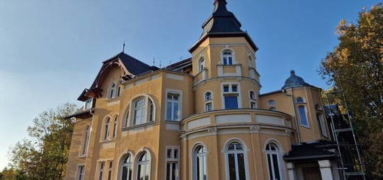 Großzügige 2-Raumwohnung in einer sanierten, historischen Villa mit Balkon und Gartennutzung