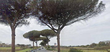 Tre singole con terrazzo ad ostia