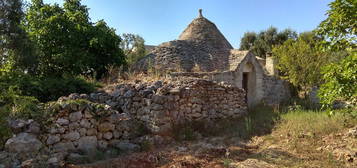 Trullo in vendita in contrada Selva s.n.c