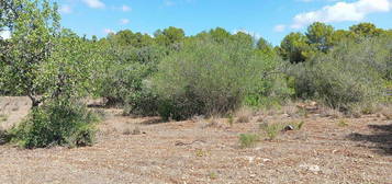 Casa rural en calle De Fetget en Son Servera